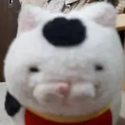 おにぎりの画像