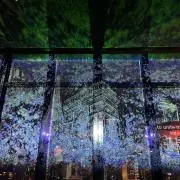 NaM ⭐︎フォロー割あります¨̮✩︎の画像