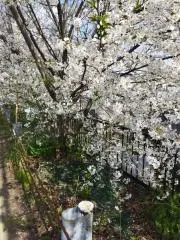 ふう。