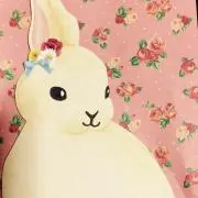 もかの画像