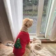 りりの画像