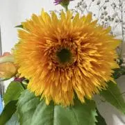 ❣️かどちん☘️の画像
