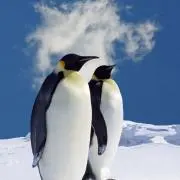 あいうえおの画像