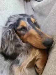 のっちの画像
