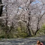 あこの画像