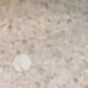 mumuの画像