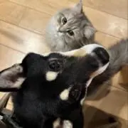 ゆうすけの画像