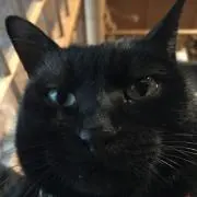 世界のモカP
