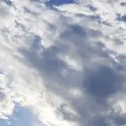 Mの画像