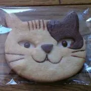 ネコの画像
