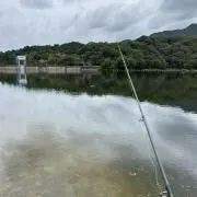 angler-tk2の画像