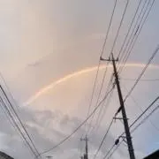 アチマリカムの画像