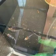 exsenceの画像