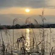 あああああの画像