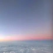tomの画像
