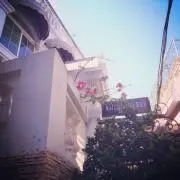 Miuの画像