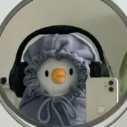 森の画像