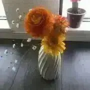 まみむめもの画像