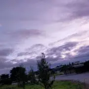 ぽんたの画像