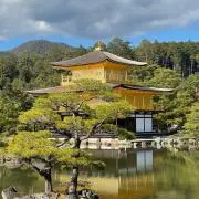 宗氏　❣️即購入OKの画像