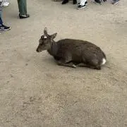 takeの画像
