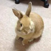 エリー