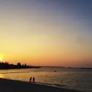 しのの画像