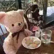 321 【9月末削除】の画像