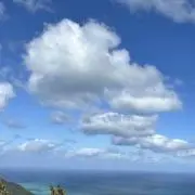 きなこの画像