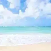 プロフ必読！港町のエリー