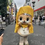 かえでの画像