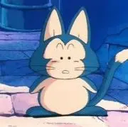 Rの画像