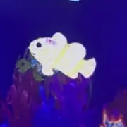 おさかなの画像