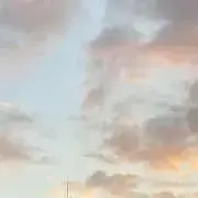 柿の画像