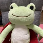 ちくばの画像