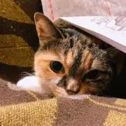 モカちゃん