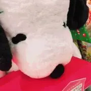 あるの画像