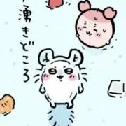 わんころもちの画像