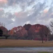 yyの画像