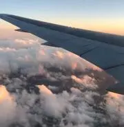 きんぎょの画像