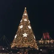 のんの画像