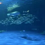 断捨離中！の画像