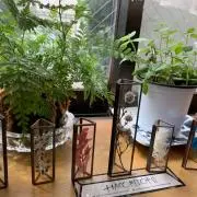 ktの画像