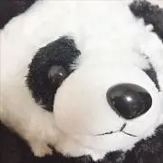 ぱんだの画像