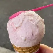 きいたんの画像