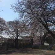 ユーの画像