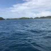 kakiの画像
