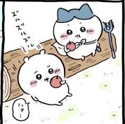 sa.の画像