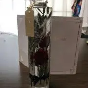 暫く取引お休みします。