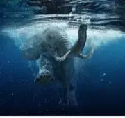 佐渡産 山形石 赤玉石 水石 鑑賞石 原石 自然石 美石 台座付 6117g